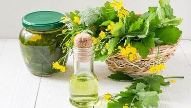 Decoction of celandine for the treatment of nail fungus