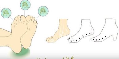 prevent the appearance of fungi on the toes